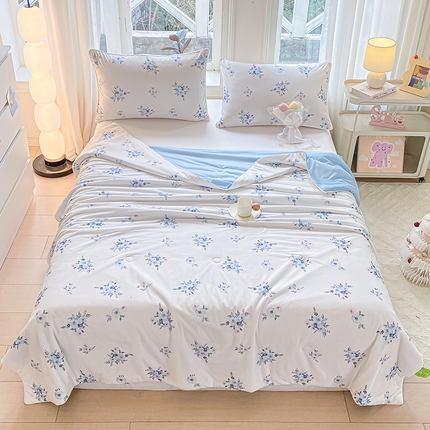 鸣升家纺 2025新款冷暖双感被大豆夏被3D数码凉感针织棉空调被夏凉被 清风明月