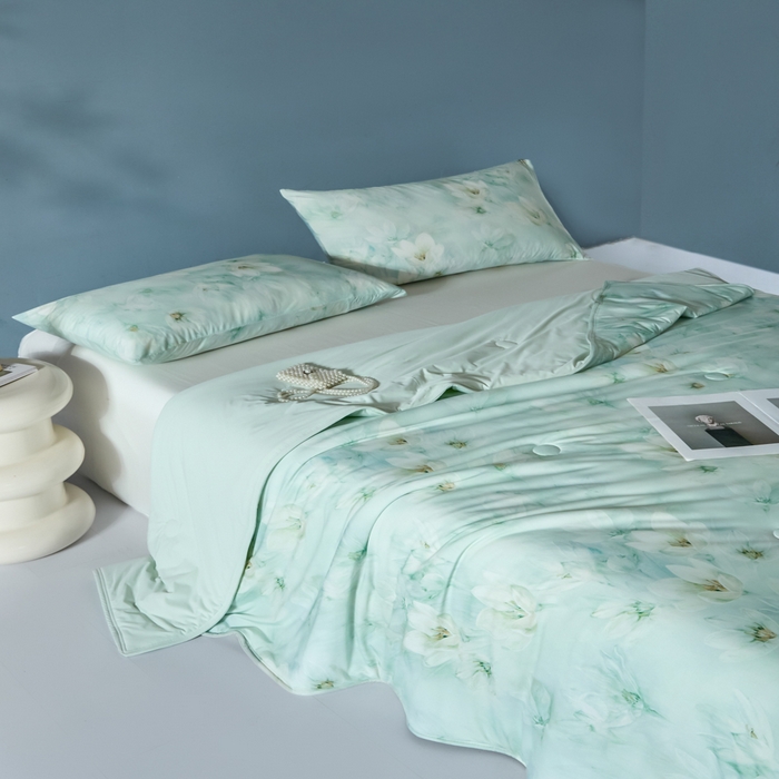 91家纺网 家纺一手货源 找家纺 2025春夏新款100%双面锦纶美式印花夏被凉感空调被 绿野仙踪