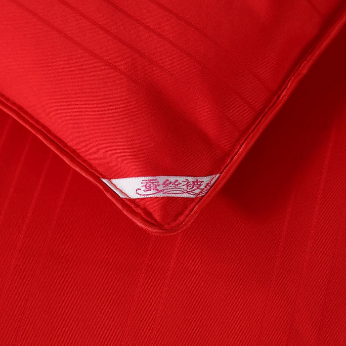 91家纺网 家纺一手货源 找家纺 2025新款全棉缎条贡缎提花被子被芯夏凉被春秋被冬被二合一子母被 大红