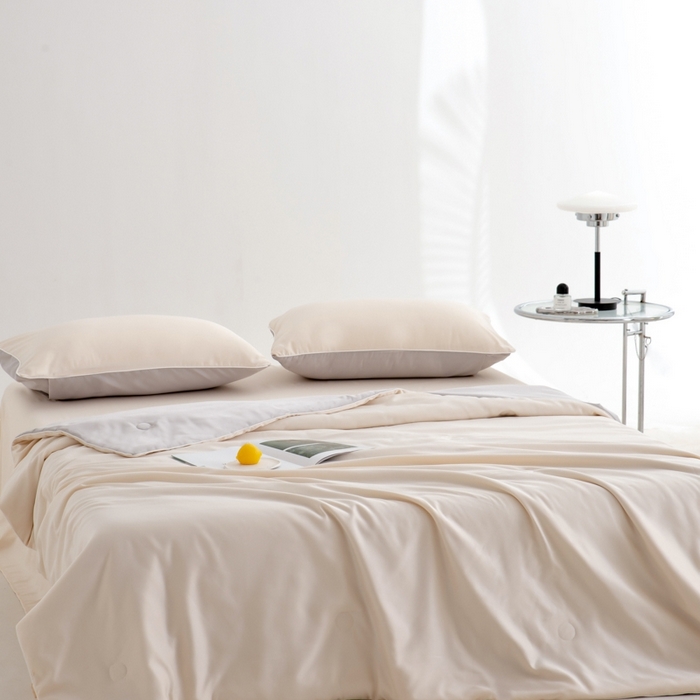 仁凯家纺 2025新款A类莱赛尔天丝纤维夏凉被双拼色（20%莱赛尔天丝纤维填充，包过检）【提供买家秀】 奶昔白+冰川灰