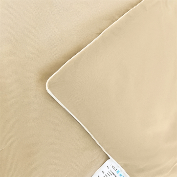 91家纺网 家纺一手货源 找家纺 雯豆家纺 2025夏季新款凉感丝夏被空调被冰丝凉感被芯纯色跑量款被子 凉感丝夏被-卡斯特金