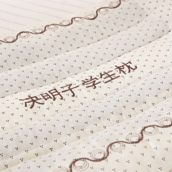 91家纺网 家纺一手货源 找家纺 大黄蜂家居家纺 2025新款冰丝提花三明治夹层透气枕套 枕芯决明子仅做展示