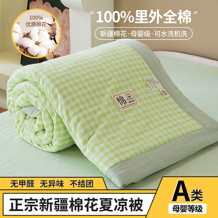 三俏家纺 2025新款新疆棉花被夏被100%里外全棉棉花夏被无印风全棉色织水洗棉夏凉被空调被春秋被单人可机洗-风格二 春叶