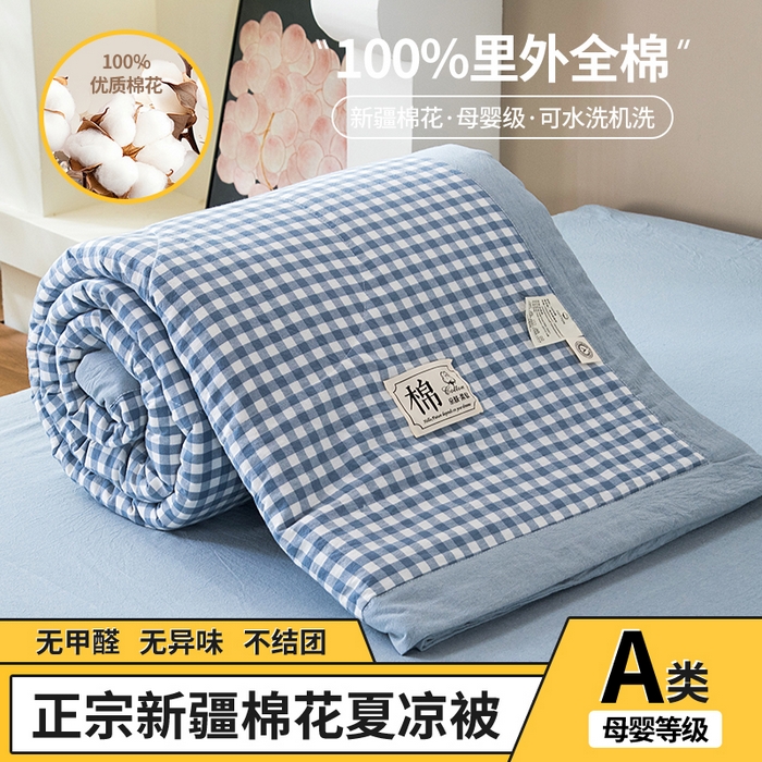 三俏家纺 2025新款新疆棉花被夏被100%里外全棉棉花夏被无印风全棉色织水洗棉夏凉被空调被春秋被单人可机洗-风格二 煮雨