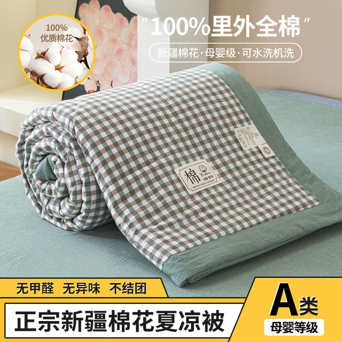 三俏家纺 2025新款新疆棉花被夏被100%里外全棉棉花夏被无印风全棉色织水洗棉夏凉被空调被春秋被单人可机洗-风格二 海风