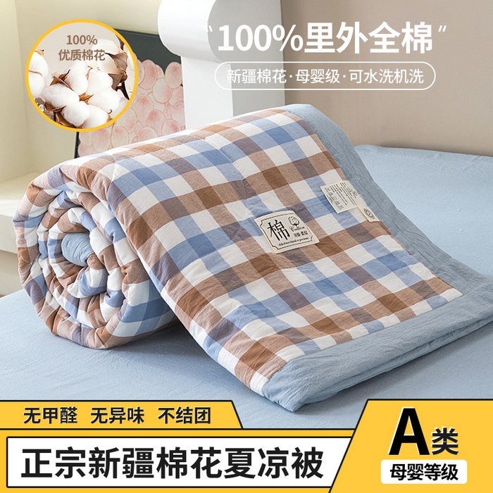 三俏家纺 2025新款新疆棉花被夏被100%里外全棉棉花夏被无印风全棉色织水洗棉夏凉被空调被春秋被单人可机洗-风格二 雅韵