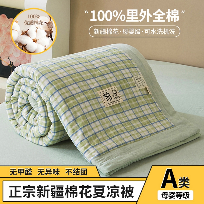 三俏家纺 2025新款新疆棉花被夏被100%里外全棉棉花夏被无印风全棉色织水洗棉夏凉被空调被春秋被单人可机洗-风格二 新芽
