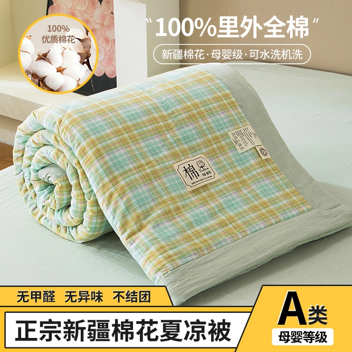 三俏家纺 2025新款新疆棉花被夏被100%里外全棉棉花夏被无印风全棉色织水洗棉夏凉被空调被春秋被单人可机洗-风格二 春上