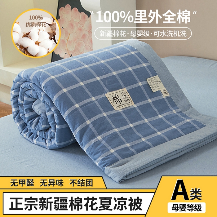 三俏家纺 2025新款新疆棉花被夏被100%里外全棉棉花夏被无印风全棉色织水洗棉夏凉被空调被春秋被单人可机洗-风格二 上野