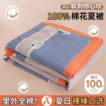 鑫棉坊 2025新款全棉色织水洗棉A类棉花夏被可机洗空调被四件套床单枕套 妮可