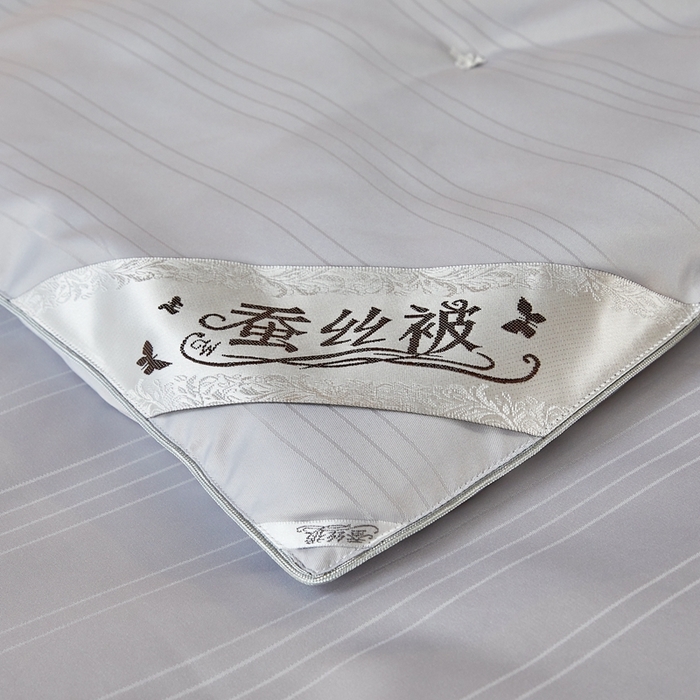 91家纺网 家纺一手货源 找家纺 金同成家纺 2025新款缎条蚕丝被春秋被子母被冬被子被芯 时尚灰