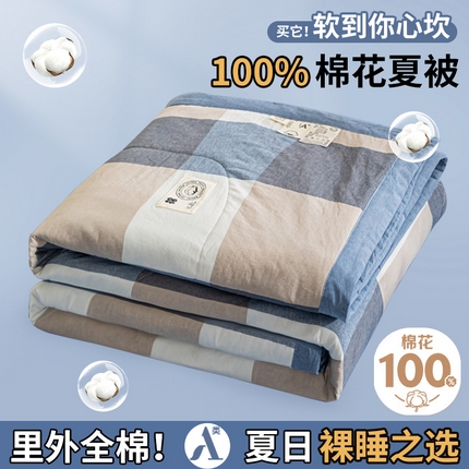 鑫棉坊 2025新款全棉色织水洗棉A类棉花夏被可机洗空调被四件套床单枕套 维亚-蓝