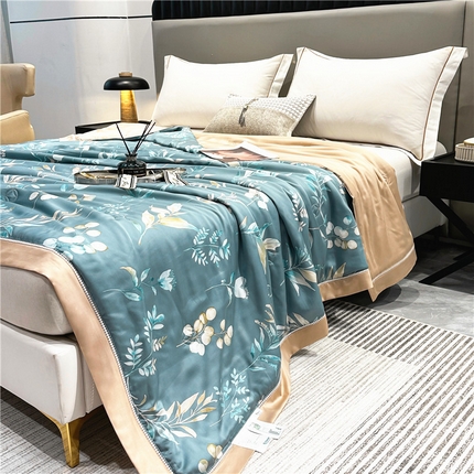 91家纺网 家纺一手货源 找家纺 （总）八方汇（一户被芯生活馆） 2025春夏新品华尔兹LF奥地利60s兰精天丝蚕丝抗菌夏被夏凉被空调被子丝滑凉爽