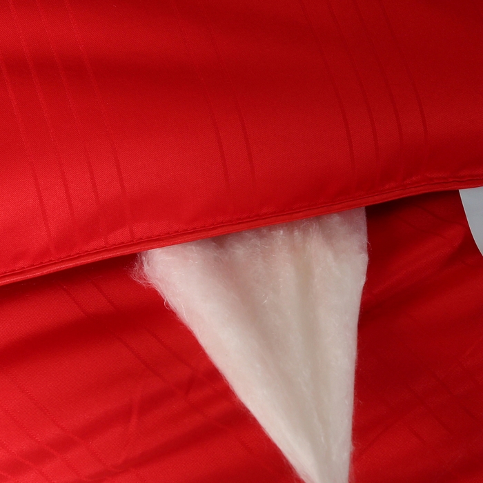 91家纺网 家纺一手货源 找家纺 2025新款全棉缎条贡缎提花被子被芯夏凉被春秋被冬被二合一子母被 大红