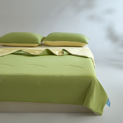 一加一 2025新款凉感深睡抗菌控温夏被被子被芯 牛油果绿