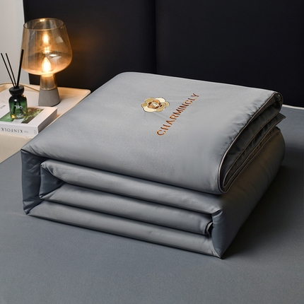 优尚家纺 2025新款水洗天丝刺绣夏被夏被四件套 深冬灰