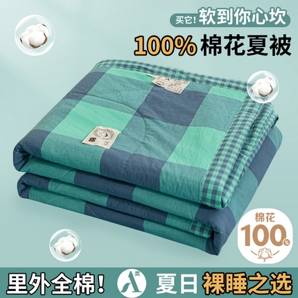 鑫棉坊 2025新款全棉色织水洗棉A类棉花夏被可机洗空调被四件套床单枕套 淡雅