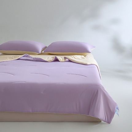 一加一 2025新款凉感深睡抗菌控温夏被被子被芯 霞光紫