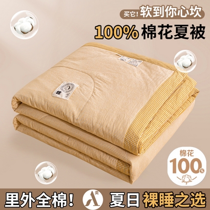 鑫棉坊 2025新款全棉色织水洗棉A类棉花夏被可机洗空调被四件套床单枕套 浅杏谧境