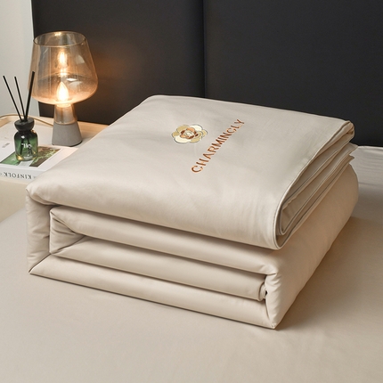 优尚家纺 2025新款水洗天丝刺绣夏被夏被四件套 米咖色