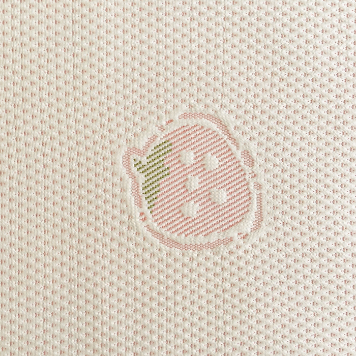 91家纺网 家纺一手货源 找家纺 （总）富馨莱 2025春夏新款公主仙女风480克PE凉感凉豆豆床裙凉席三件套