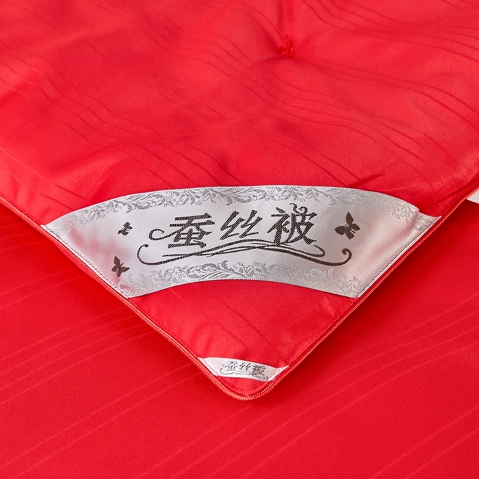 91家纺网 家纺一手货源 找家纺 金同成家纺 2025新款缎条蚕丝被春秋被子母被冬被子被芯 中国红