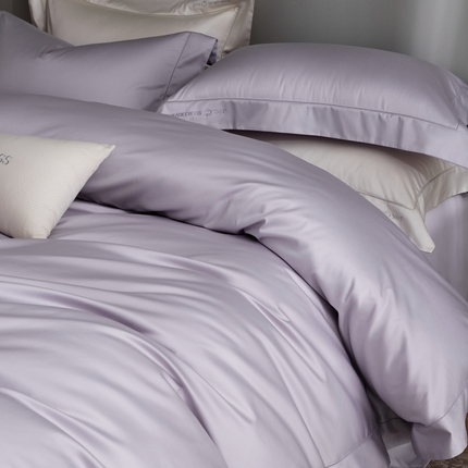 91家纺网 家纺一手货源 找家纺 佳汐蓝 2025新款奢简高支棉柔雾奢缎长绒棉四件套券后不低于628/648元 雾山紫
