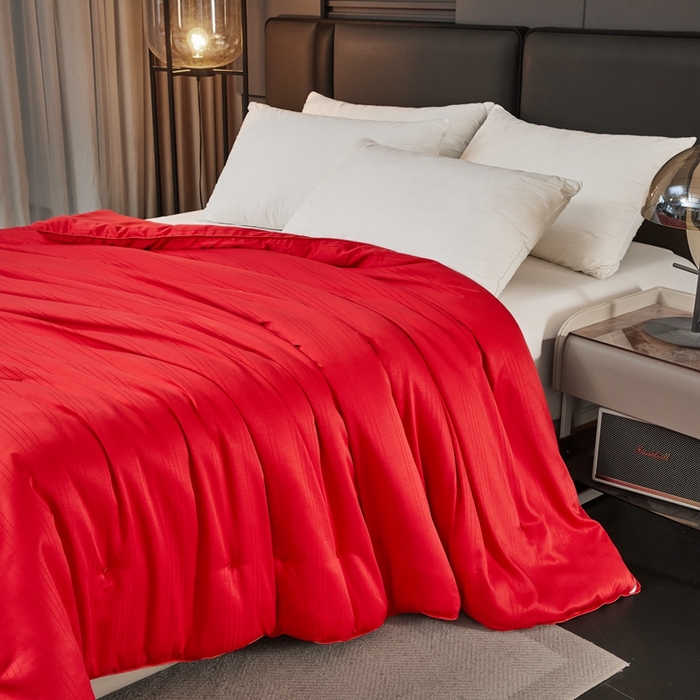 91家纺网 家纺一手货源 找家纺 金同成家纺 2025新款缎条蚕丝被春秋被子母被冬被子被芯 中国红