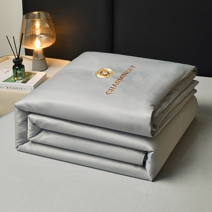 优尚家纺 2025新款水洗天丝刺绣夏被夏被四件套 银灰色