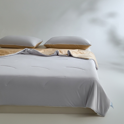 一加一 2025新款凉感深睡抗菌控温夏被被子被芯 银灰咖