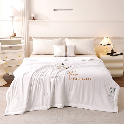 2025新款绣花柔舒棉刺绣款夏被 白色