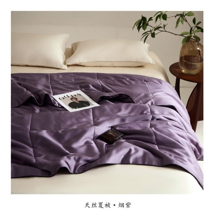 91家纺网 家纺一手货源 找家纺 朵美 2025新款60支天丝纯色夏被被子被芯 烟紫