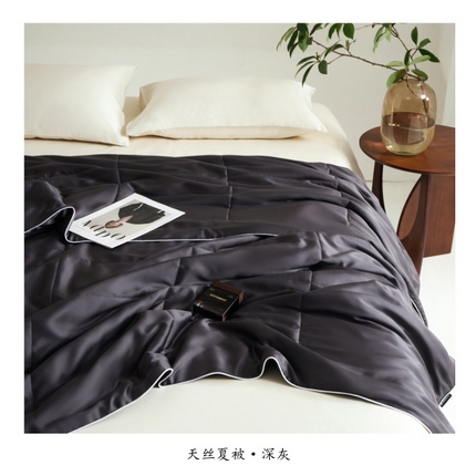朵美 2025新款60支天丝纯色夏被被子被芯 深灰