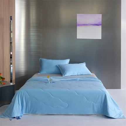 91家纺网 家纺一手货源 找家纺 头等舱  2025新款锦氨（165克）水光亮面锦A类55莱赛尔植物大豆7A抗菌夏凉被夏被-配礼盒（空镜图） 水蓝色