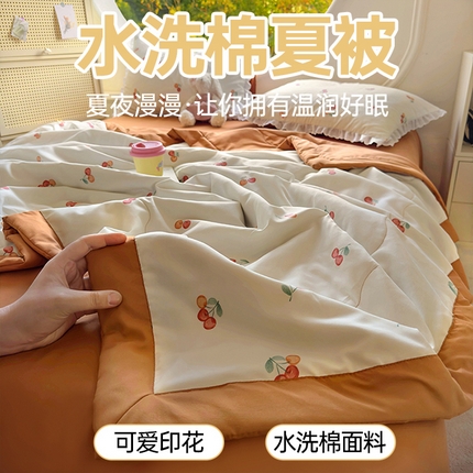 91家纺网 家纺一手货源 找家纺 （总）春光里 2025新款云朵棉水洗棉手包边夏被夏凉被空调被夏被四件套（风格1）