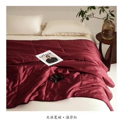 朵美 2025新款60支天丝纯色夏被被子被芯 温莎红