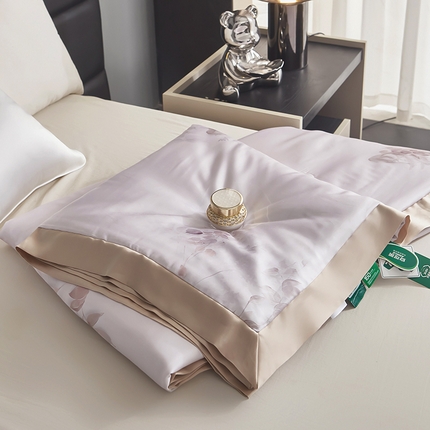 麦肯锡家居  2025新款天丝雪绒单夏被 南枝