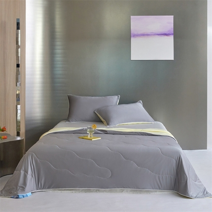 头等舱  2025新款锦氨（165克）水光亮面锦A类55莱赛尔植物大豆7A抗菌夏凉被夏被-配礼盒（空镜图） 幻影灰＋奶黄