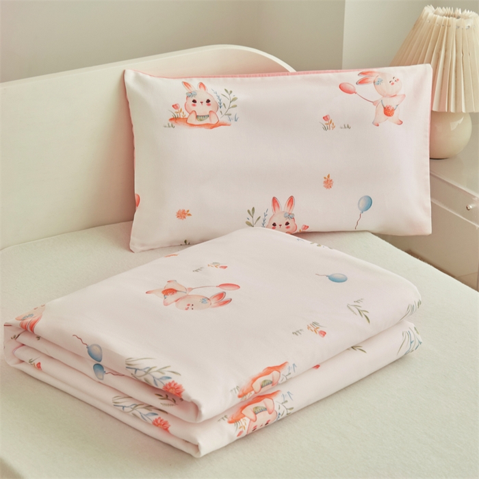 91家纺网 家纺一手货源 找家纺 艾佳宝贝 2025A类儿童全棉多功能单被套可拆式夏被四季被子 春日游玩