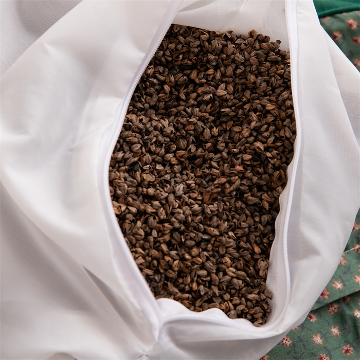 91家纺网 家纺一手货源 找家纺 大熊枕芯 2025新款熊猫全棉碎花荞麦枕 熊猫荞麦枕-绿