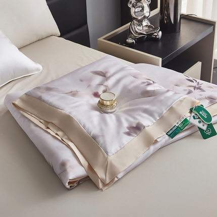麦肯锡家居  2025新款天丝雪绒单夏被 知夏