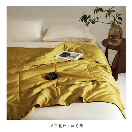 朵美 2025新款60支天丝纯色夏被被子被芯 路易黄