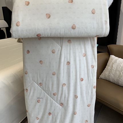 91家纺网 家纺一手货源 找家纺 （总）奈萝家纺 2025新款冰皮凉感丝夏被空调被