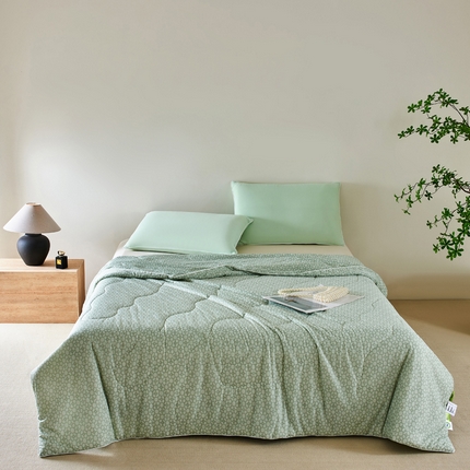 巴宝路 2025新款一触即凉抗菌防螨印花凉感夏被夏凉被空调被 绿野仙踪