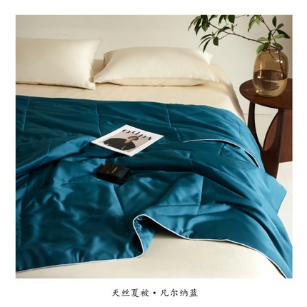 朵美 2025新款60支天丝纯色夏被被子被芯 凡尔纳蓝