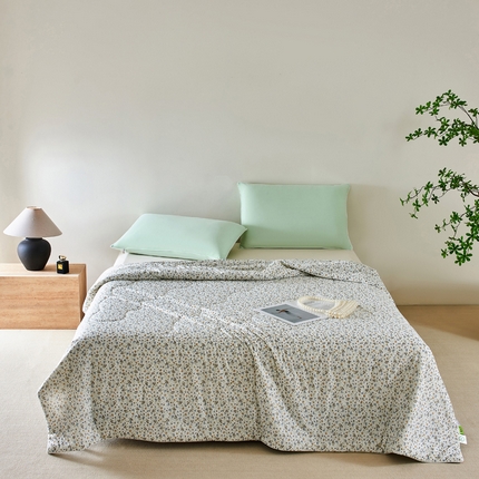 巴宝路 2025新款一触即凉抗菌防螨印花凉感夏被夏凉被空调被 甜晨花园