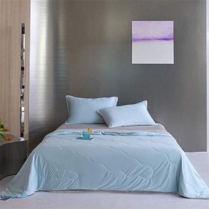 91家纺网 家纺一手货源 找家纺 头等舱  2025新款锦氨（165克）水光亮面锦A类55莱赛尔植物大豆7A抗菌夏凉被夏被-配礼盒（空镜图） 浅天兰＋银灰
