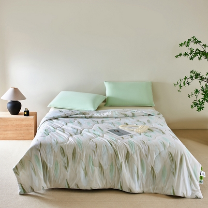 巴宝路 2025新款一触即凉抗菌防螨印花凉感夏被夏凉被空调被 羽境