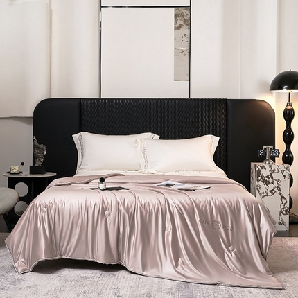 鸣升家纺 2025新款新款A类冰蓝丝凉感夏被填充蚕蛹蛋白夏凉被空调被 私语-香槟色