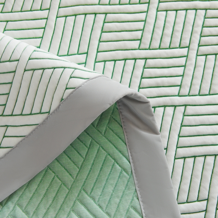 91家纺网 家纺一手货源 找家纺 2025新款韩国外贸爆款加厚PE中分子凉感豆豆软席 时空绿-床席款